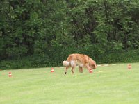 Bendix und das Boxband (56)